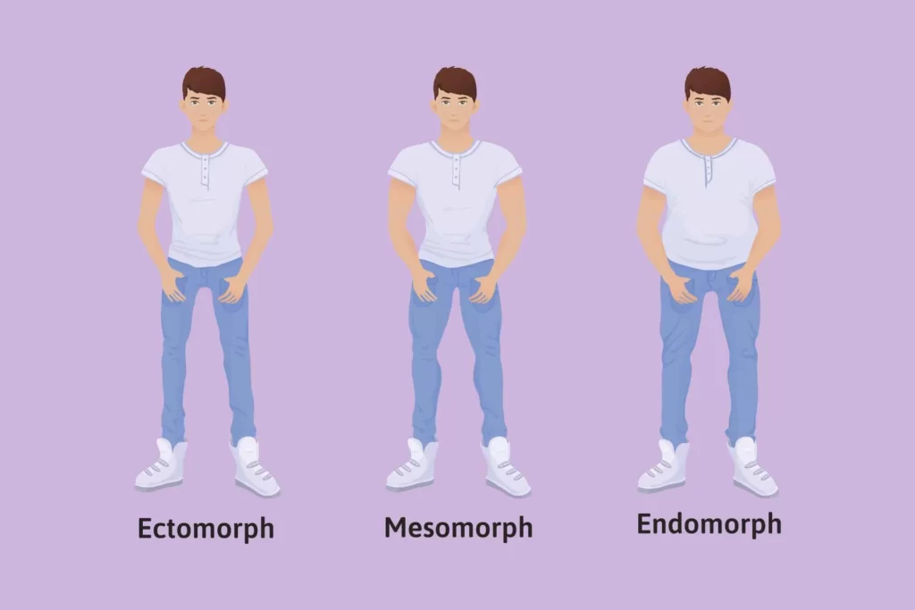 Men Body Types